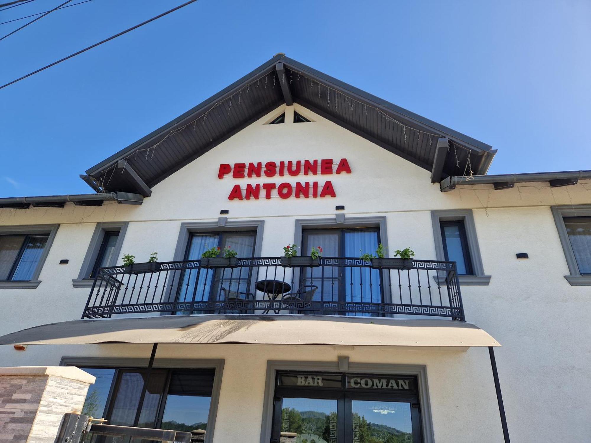 Pensiunea Antonia Sighetu Marmaţiei Zimmer foto
